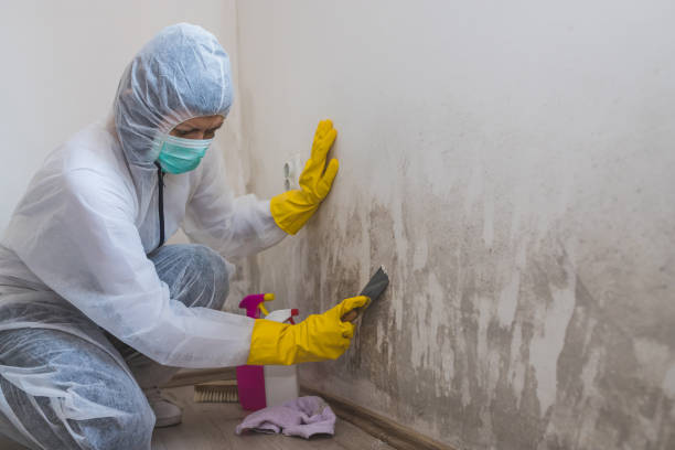 Best Post-Construction Mold Inspection  in Redmond, OR