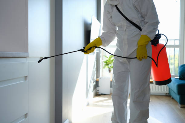 Redmond, OR Mold Removal Company