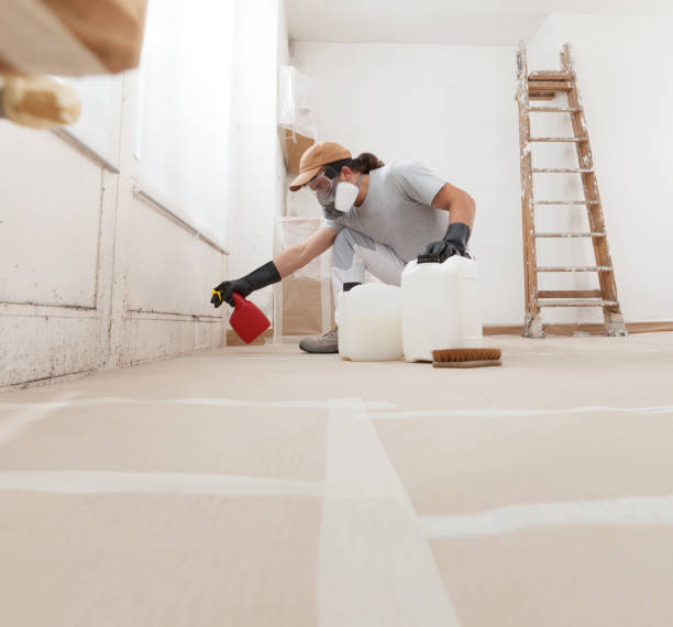 Best Mold Remediation for Healthcare Facilities  in Redmond, OR