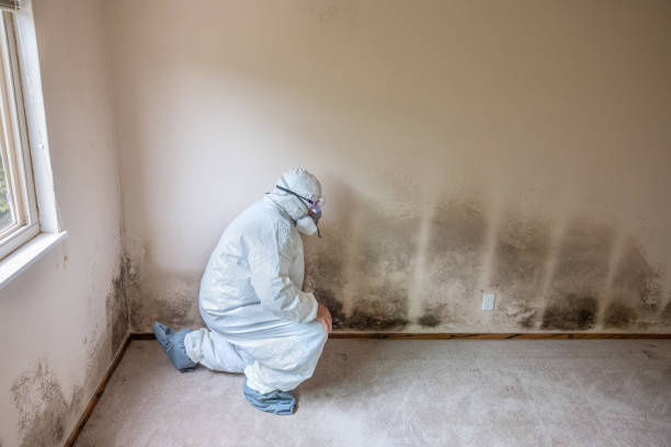 Best Mold Removal for HVAC Installations  in Redmond, OR